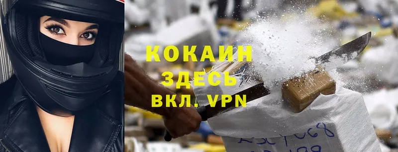 Cocaine Эквадор  как найти закладки  Тырныауз 